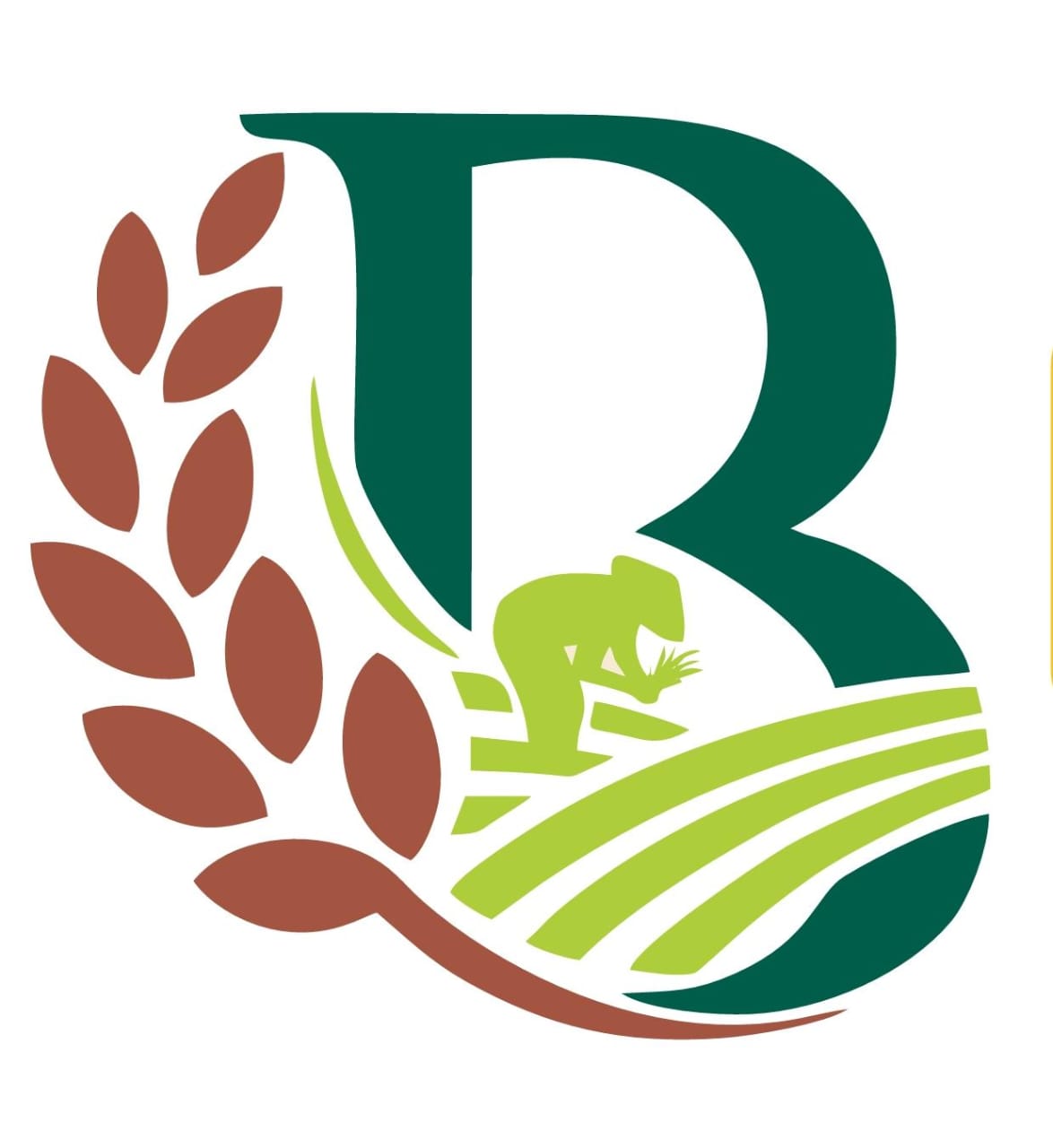 Bharath Natural Grains Logo